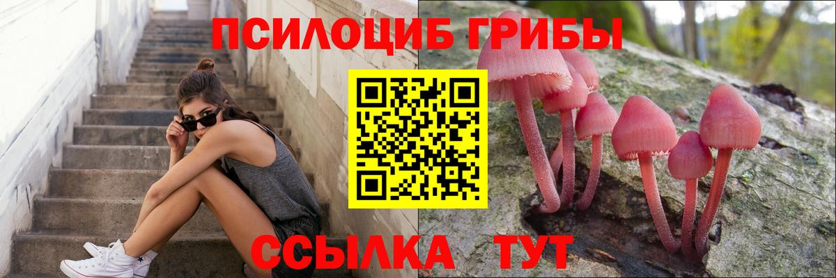 Псилоцибиновые грибы Cubensis Ялта